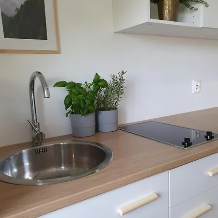 Studio Zubrowa - Gdansk Apartment