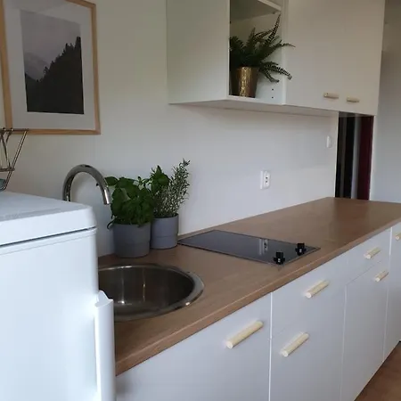 Apartment Studio Zubrowa - Gdansk *